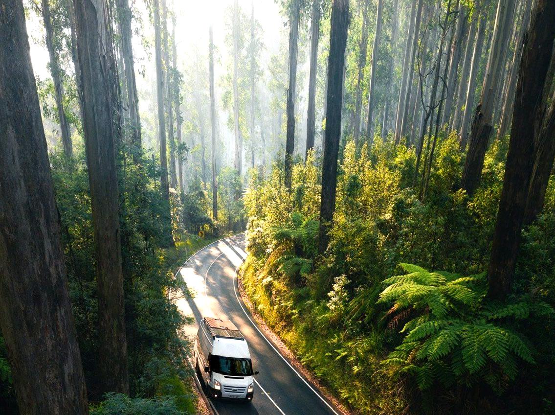 Exploring the Beautiful Black Spur Drive