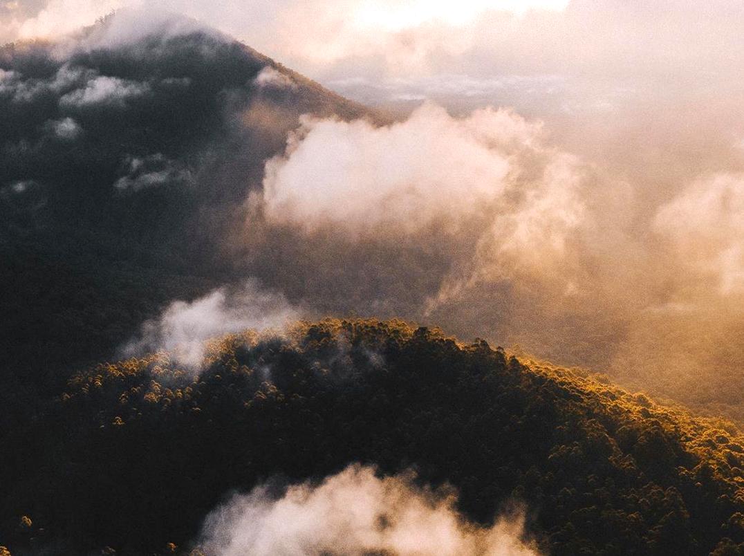 Driving Through the Stunning Black Spur Scenic Route