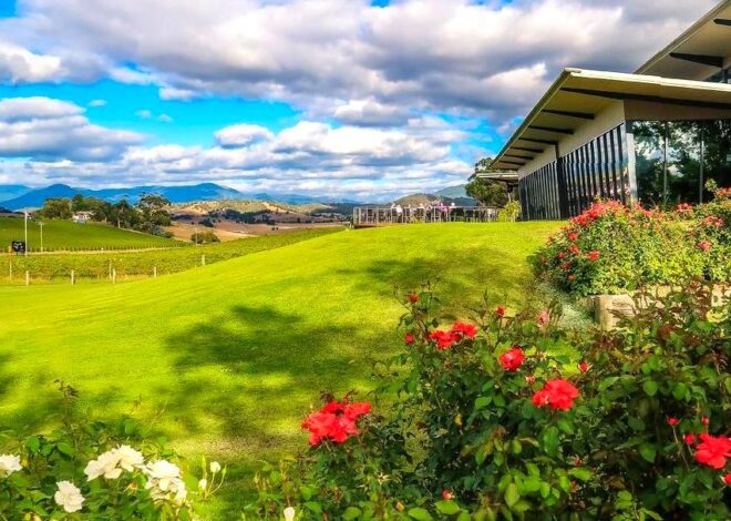 Yarra Valley Eco Centre: Discovering sustainable practices at Yarra Valley Eco Centre.