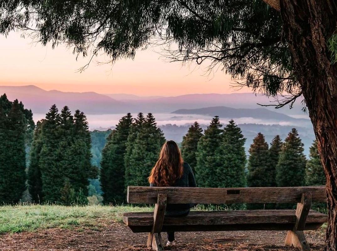 Uncovering Sustainable Initiatives at Yarra Valley Eco Centre