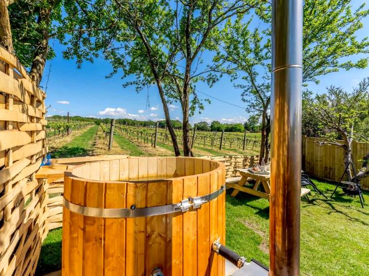 Journey Through the Grape Escape Winery Experience